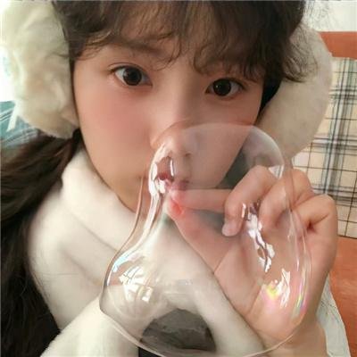 极地熊踪 在线观看封面
