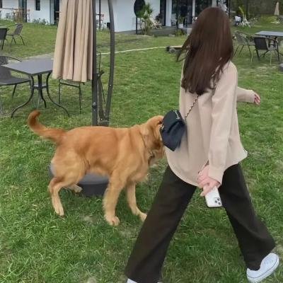 西装暴徒 在线观看封面